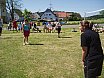 Volleyballturnier 2008